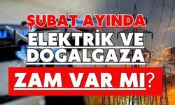 Şubat ayında elektrik ve doğalgaza zam var mı?
