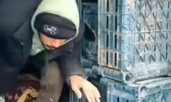 Düzce'de 13 düzensiz göçmen yakalandı