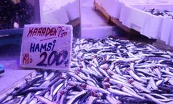 Hamsi tezgahlardaki tahtına yeniden oturdu