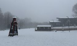 Kartepe'de lapa lapa kar yağıyor