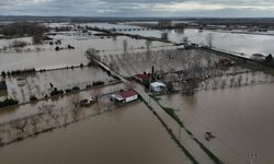 Edirne'de tarım arazileri ve yerleşim yerleri sular altında kaldı