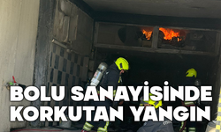 Bolu sanayisinde korkutan yangın