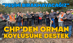 KARAGÖZ: “ORMAN KÖYLÜSÜNÜN EMEĞİ YOK SAYILAMAZ”