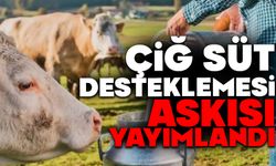 ÇİĞ SÜT DESTEKLEMESİ ASKISI YAYIMLANDI