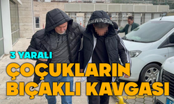 Çocukların kavgasında kan aktı