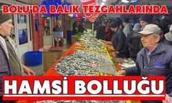 Bolu'da balık tezgahlarında hamsi bolluğu