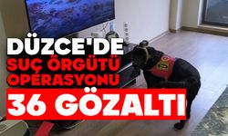 Düzce'de suç örgütü operasyonu: 36 gözaltı