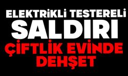 Elektrikli testereli saldırı: Çiftlik evinde dehşet