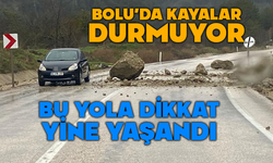 Göynük’te Yola Düşen Kaya Parçaları Korkuttu