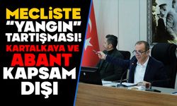 Kartalkaya’da itfaiye müfrezesi neden kurulamıyor?  BOLU’DA RİSK HARİTASI