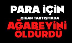 Para için ağabeyini öldürdü