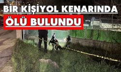Bir kişi yol kenarında ölü bulundu