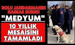 Bolu Jandarmanın hassas burnu "Medyum" 10 yıllık mesaisini tamamladı