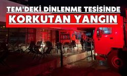 TEM'deki dinlenme tesisinde korkutan yangın