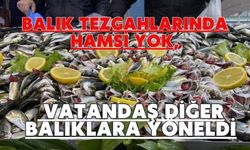Balık tezgahlarında hamsi yok, vatandaş diğer balıklara yöneldi