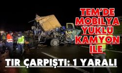 TEM’de mobilya yüklü kamyon ile tır çarpıştı: 1 yaralı