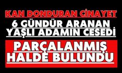 Kan donduran cinayet: 6 gündür aranan yaşlı adamın cesedi parçalanmış halde bulundu