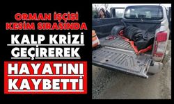 Orman işçisi kesim sırasında kalp krizi geçirerek hayatını kaybetti
