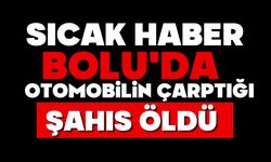 Bolu’da otomobilin çarptığı şahıs öldü