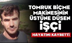 Tomruk biçme makinesinin üstüne düşen işçi hayatını kaybetti