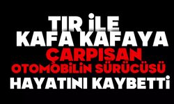Tır ile kafa kafaya çarpışan otomobilin sürücüsü hayatını kaybetti