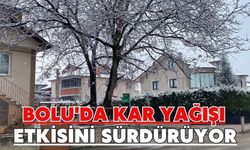 Bolu'da kar yağışı etkisini sürdürüyor
