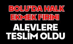 Bolu'da halk ekmek fırını alevlere teslim oldu