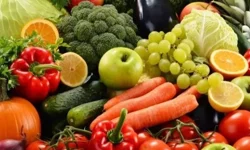 2 KOMD.TUG.K. MİLLİ SAVUNMA BAKANLIĞI MSB BAĞLILARI