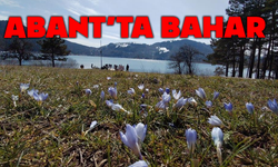 Abant'ta karların ardından bahar manzarası