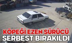 Köpeği ezen sürücü serbest bırakıldı