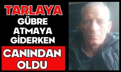 Tarlaya gübre atmaya giderken canından oldu