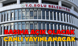 Bolu'da başkan vekili seçimi açık olacak