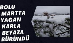 BOLU MARTTA YAĞAN KARLA BEYAZA BÜRÜNDÜ