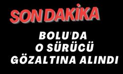 BOLU'DA O SÜRÜCÜ GÖZALTINA ALINDI