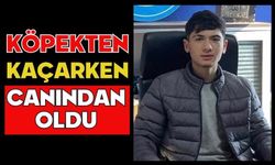 Köpekten kaçarken canından oldu
