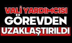 Vali yardımcısı görevden uzaklaştırıldı