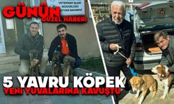 Günün Güzel Haberi: 5 Yavru Köpek Yeni Yuvalarına Kavuştu