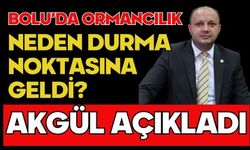 BOLU’DA ORMANCILIK NEDEN DURMA NOKTASINA GELDİ? AKGÜL AÇIKLADI
