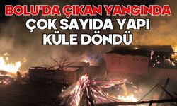 Bolu'da çıkan yangında çok sayıda yapı küle döndü