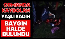 Ormanda kaybolan yaşlı kadın baygın halde bulundu