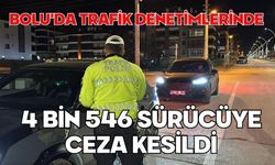 Bolu'da trafik denetimlerinde 4 bin 546 sürücüye ceza kesildi