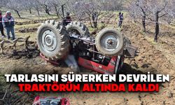 Tarlasını sürerken devrilen traktörün altında kaldı