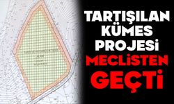 TARTIŞILAN KÜMES PROJESİ MECLİSTEN GEÇTİ