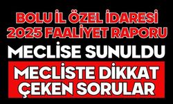 İL ÖZEL İDARESİ 2025 FAALİYET RAPORU MECLİSE SUNULDU MECLİSTE DİKKAT ÇEKEN SORULAR