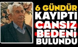 6 gündür kayıp yaşlı adamın cansız bedeni bulundu