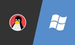 Fransa, devlet sistemlerini Windows'tan Linux'a geçirmeye başladı