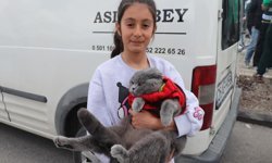 Kedisiyle stadyuma gelen minik taraftar bu sefer de Bursaspor'un yanında