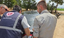 Ticaret Bakanlığı'ndan biber görüntülerine yalanlama