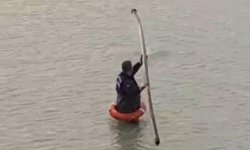 Yapay gölette mahsur kalan tilkiyi itfaiye kurtardı