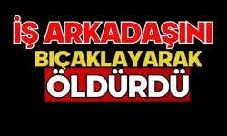 İş arkadaşını bıçaklayarak öldürdü